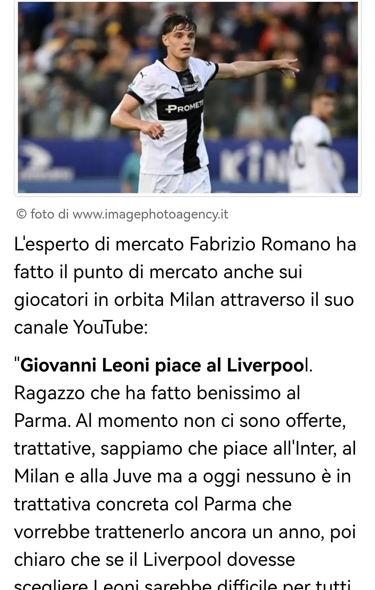 化的长尾关 化的长尾关