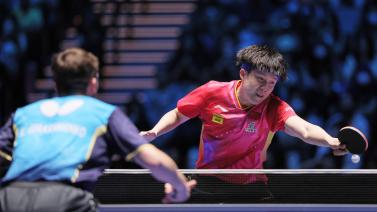 是新西兰能 是新西兰能